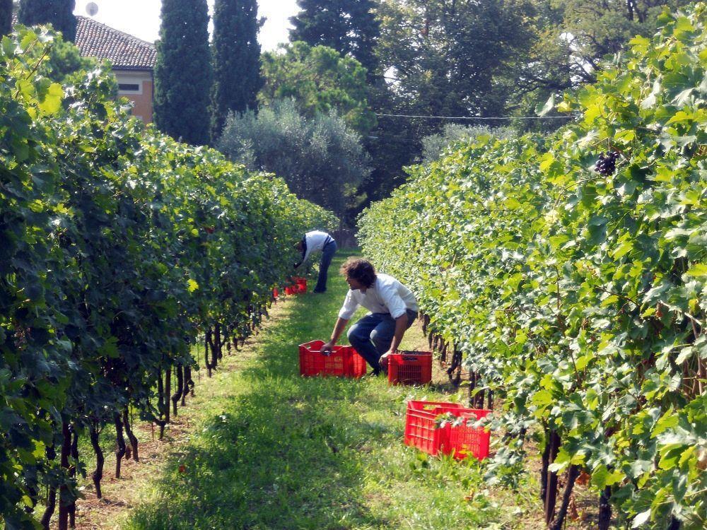 Corte San Mattia Alojamento de Turismo Rural